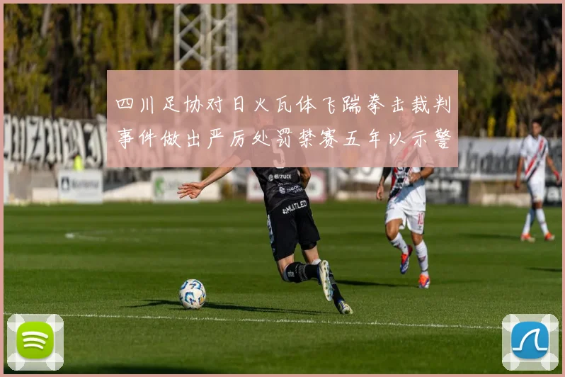 四川足协对日火瓦体飞踹拳击裁判事件做出严厉处罚禁赛五年以示警戒