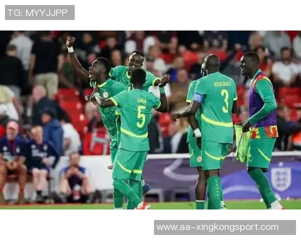 巴西世界杯历史战绩辉煌对阵非洲球队7胜1负的传奇之路