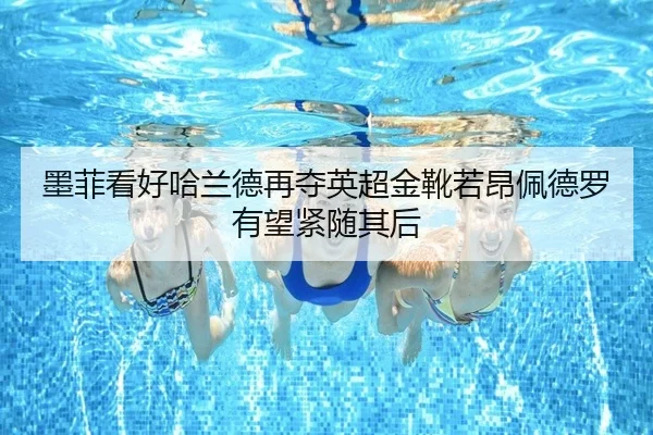 墨菲看好哈兰德再夺英超金靴若昂佩德罗有望紧随其后 - xingkong